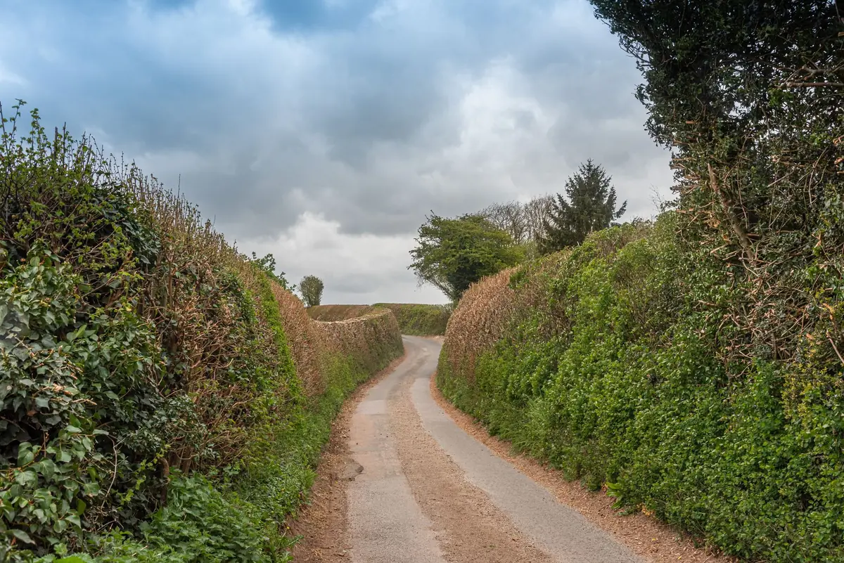 Anxiety therapy in Maidstone — a calm, everyday scene
