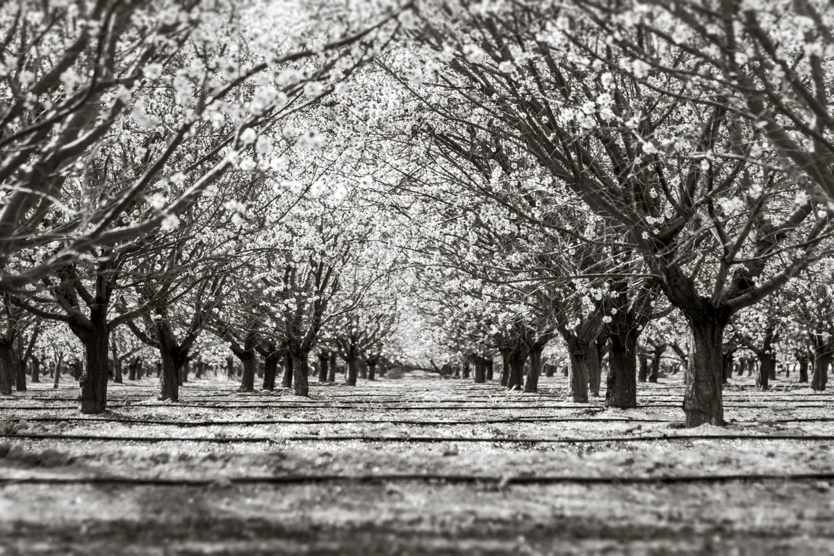 PTSD and trauma therapy in Maidstone — a calm, everyday scene