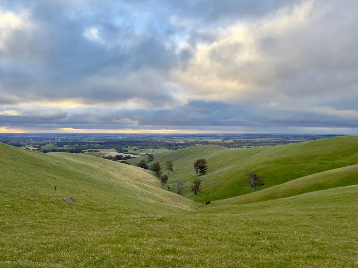 Acceptance and commitment therapy (ACT) — a calm, everyday scene