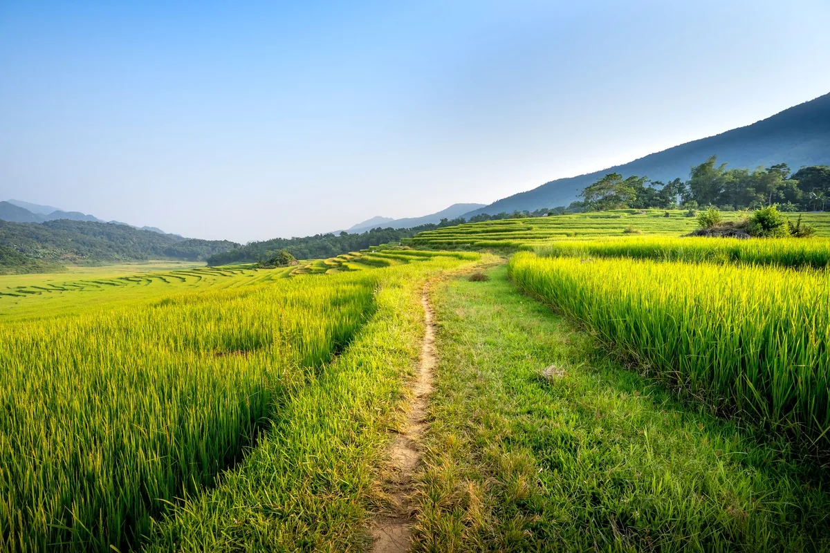 Trauma-focused CBT — a calm, everyday scene